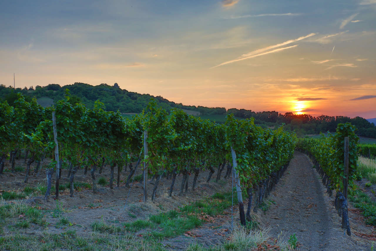 Weingut Bettenheimer Name
